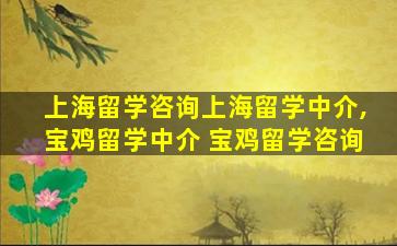 上海留学咨询上海留学中介,宝鸡留学中介 宝鸡留学咨询